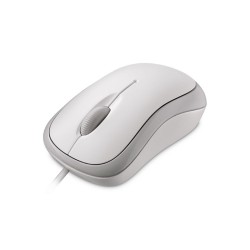 Microsoft L2 Basic Blanche