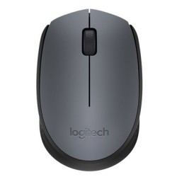 Logitech Wireless M170 Grey