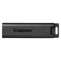 Kingston DataTraveler Max 1To