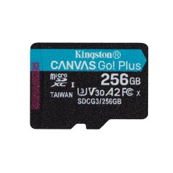 Micro SD Kingston 256 Go