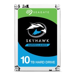 Seagate 10 To SkyHawk AI