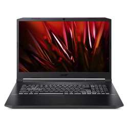 17.3 Acer AN517-41-R3EY
