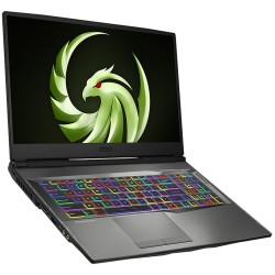 17.3 MSI Alpha 17 A4DEK-017FR